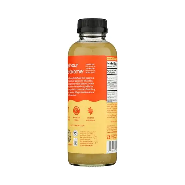 Tropical Pineapple Kvass 2
