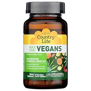 Daily Vegan Multivitamin, 120 CT