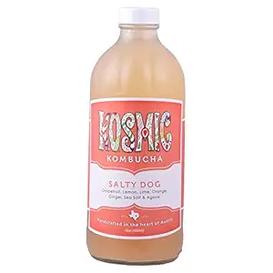 Salty Dog Kombucha, 16.9 FZ