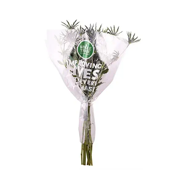 365 by WFM Eryngium Bunch, 1 EA 1