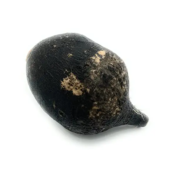 Black Radish 1