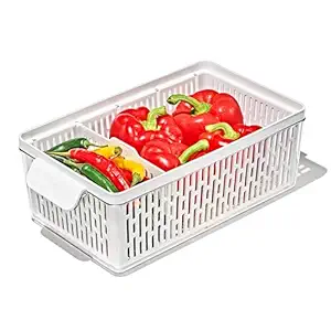 Produce Saver Medium Bin, 1 EA