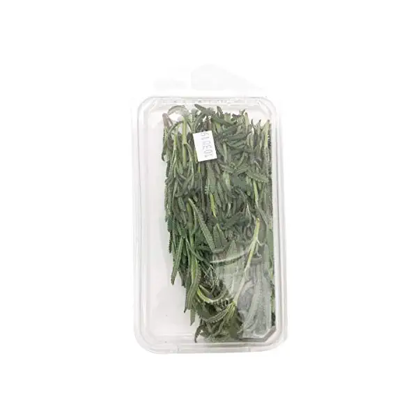 Organic Herb Lavender 2