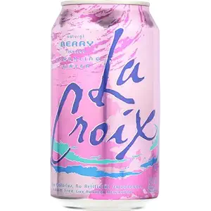 Berry Sparkling Water Single, 12 FZ