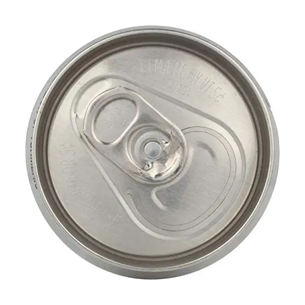 Twist Of Lemon Turmeric Sparkling Water, 12 FZ 8