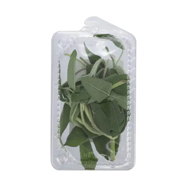 Sage 2