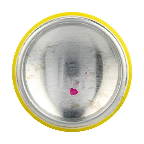Organic Green Tea Soda 8