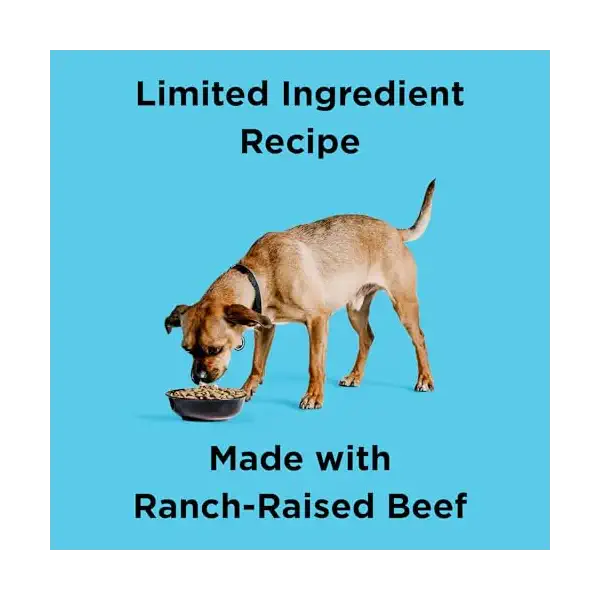 Liberty Beef Recipe Grain-Free Dry Dog Food, 64 OZ 2