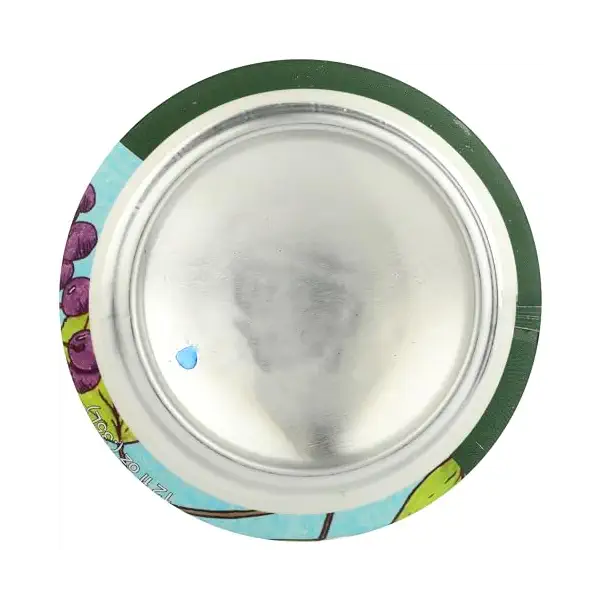 Kombucha Elderberry Og 6