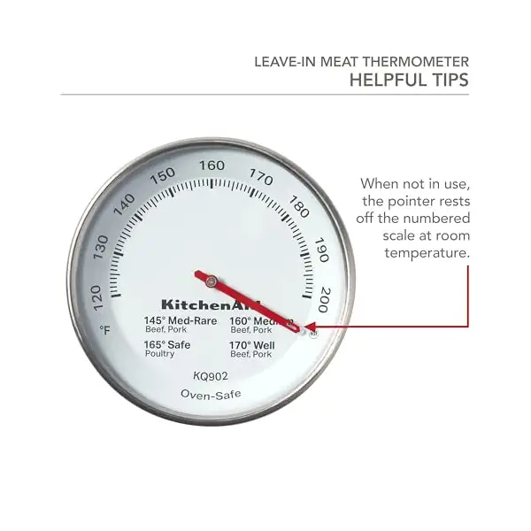 Leave In Meat Thermometer 2