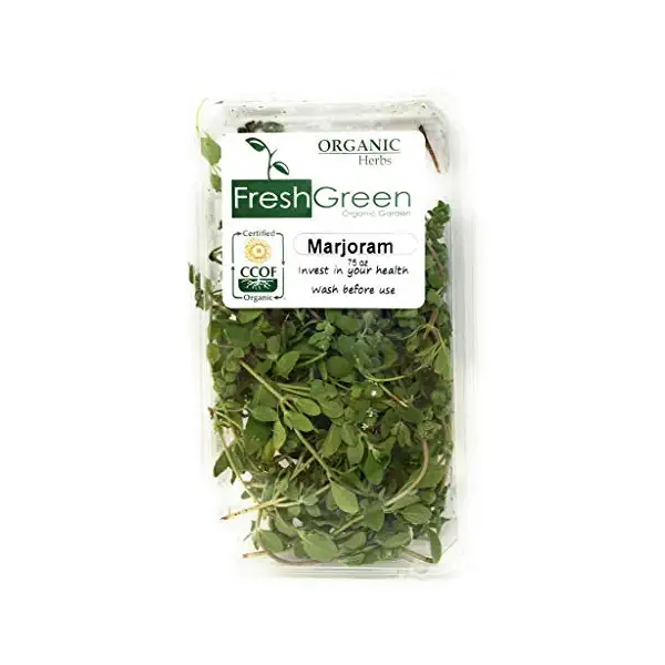Organic Marjoram Herbs 3