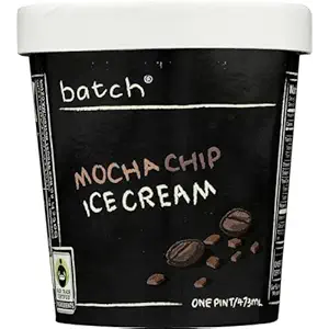 Mocha Chip Ice Cream, 1 PT