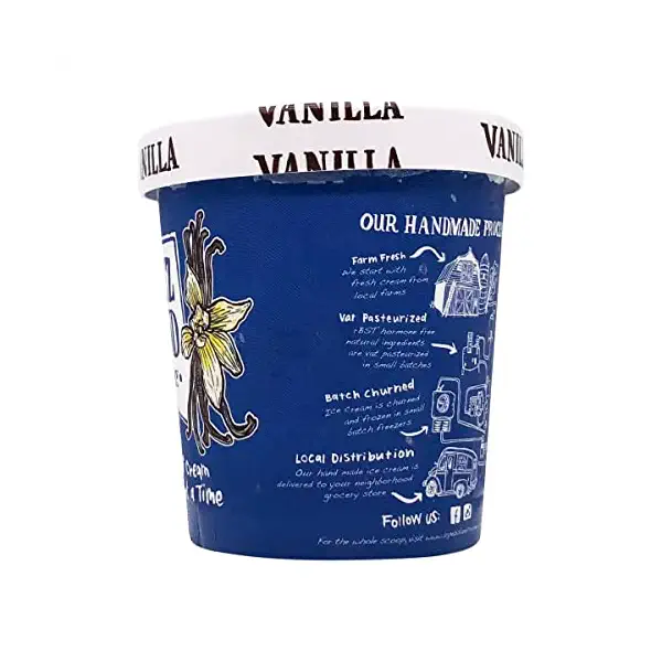 Vanilla Ice Cream 3