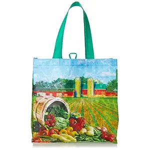 Fa Reusable Bag, 1 EA