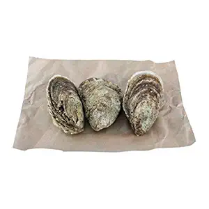 Moondancer Oysters