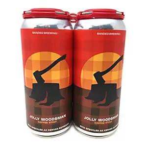 Coffee Stout 16Fz 4Pk Cans, 16 FZ