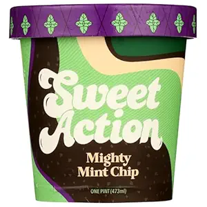 Mighty Mint Chip Ice Cream, 1 PT