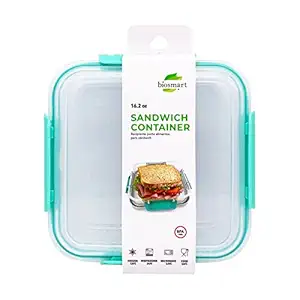 Sandwich Container, 1 EA