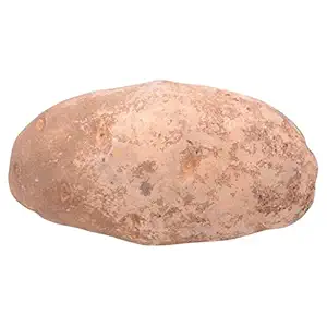 Russet Potato
