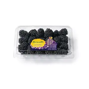 Sweetest Batch Blackberries, 10 OZ