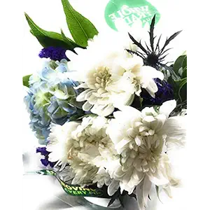 Winter Nights Arrangement, 1 EA