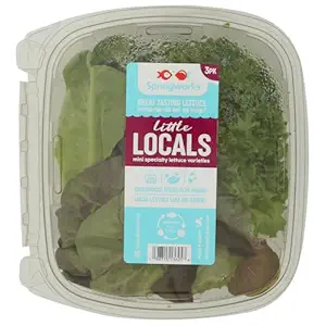 Little Gems Lettuce, 3 CT