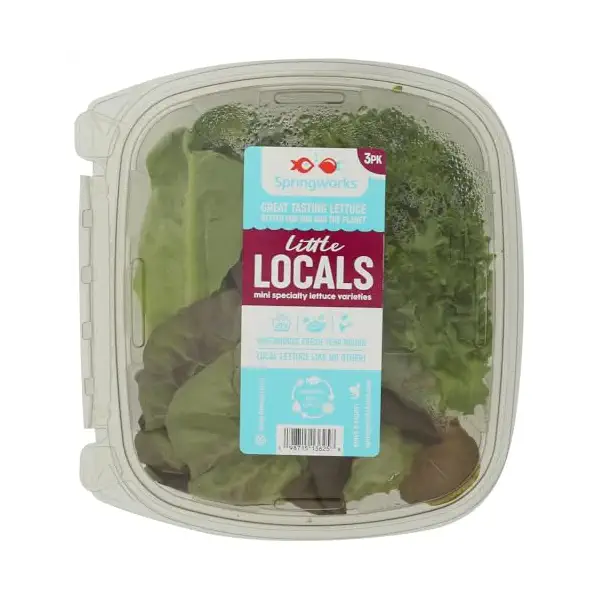 Little Gems Lettuce, 3 CT 1