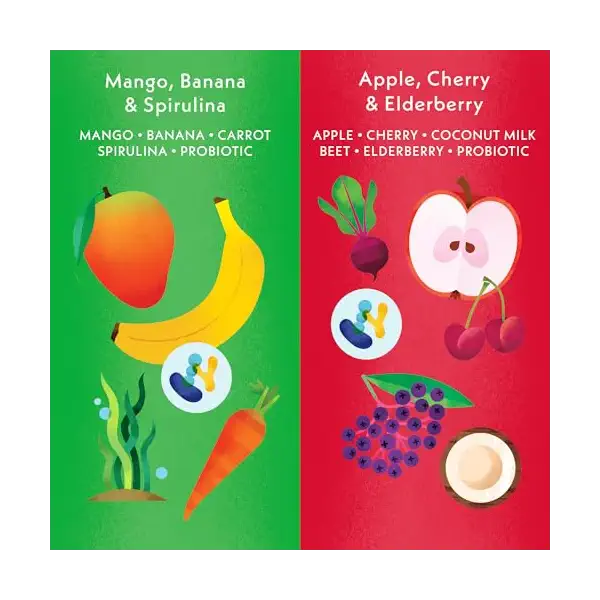 Organic Mango and Apple Kids Yogurt 4pk, 12.8 OZ 2