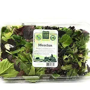 Organic Mesclun Spring Mix, 16 OZ