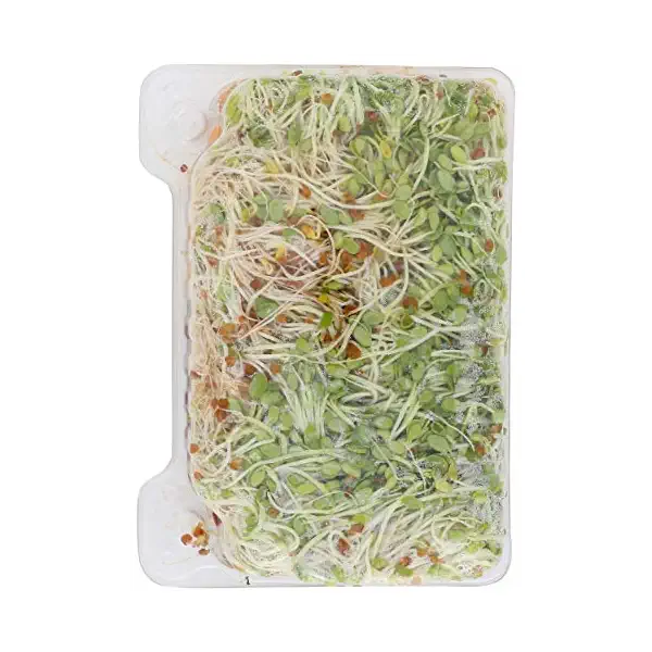 All Natural Moon Salad 2