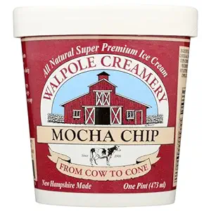 Mocha Chip Ice Cream, 1 PT