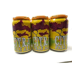 Citra Pale Ale 6pk Cans, 12 FZ