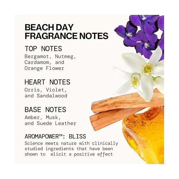 Take Me There Mini Perfume Set, 5 CT 3