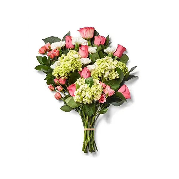 Sofia Bouquet, 1 EA 1