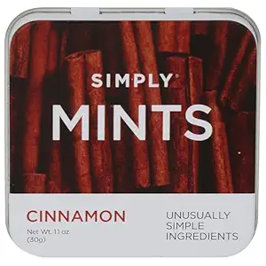 Cinnamon Mints, 1.1 OZ
