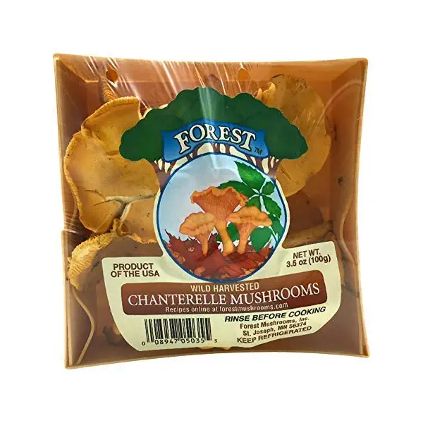 Chanterelle Mushroom 2