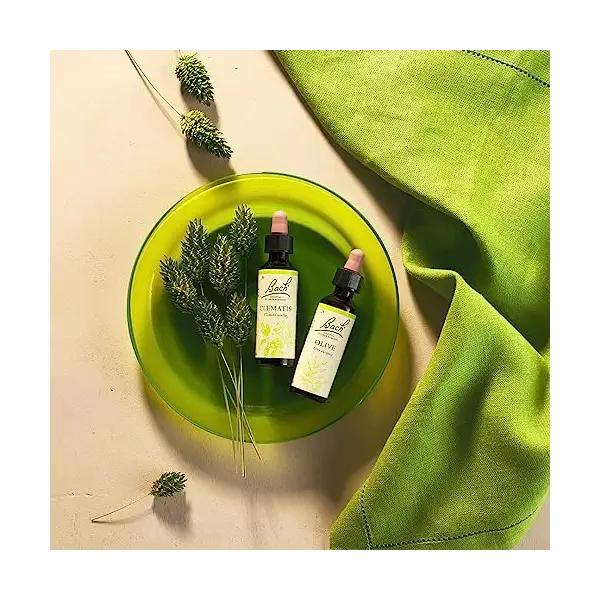 Olive 4