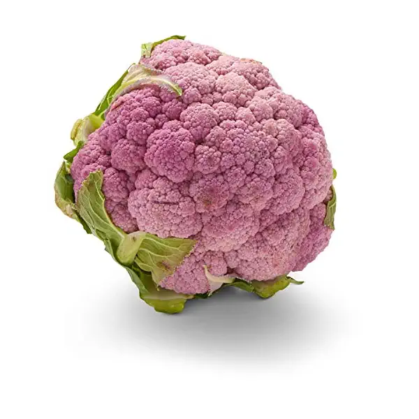 Purple Cauliflower 1
