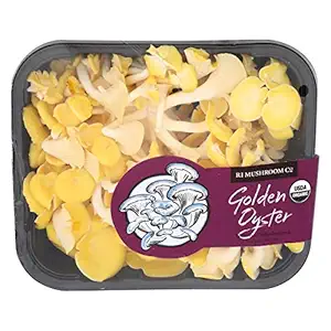 Organic Golden Oyster Mushrooms, 4 OZ