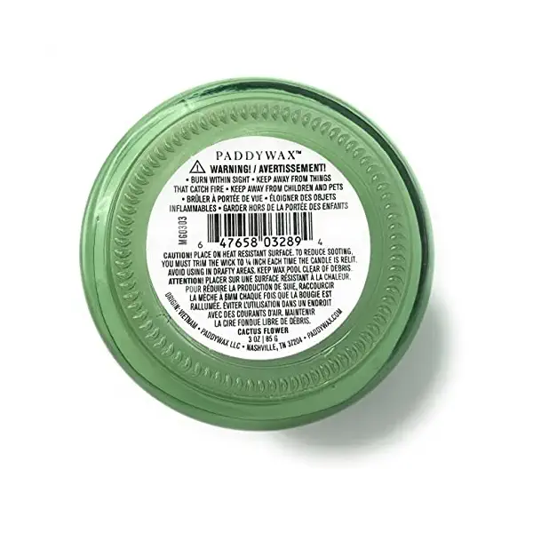 Mint Cactus Glass Beam Candle, 3 OZ 3