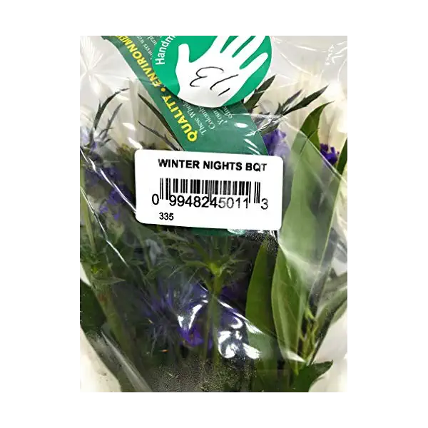 Winter Nights Arrangement 2