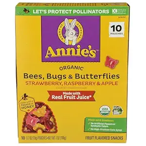 Organic Bees, Bugs & Butterflies Fruit Snacks, 7 OZ