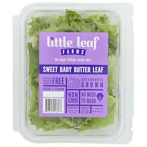 Sweet Baby Butter Leaf Lettuce, 4 OZ
