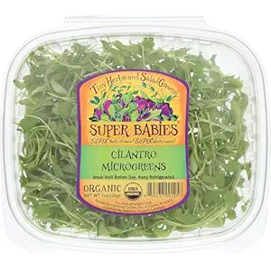 Organic Cilantro Microgreens, 1 OZ