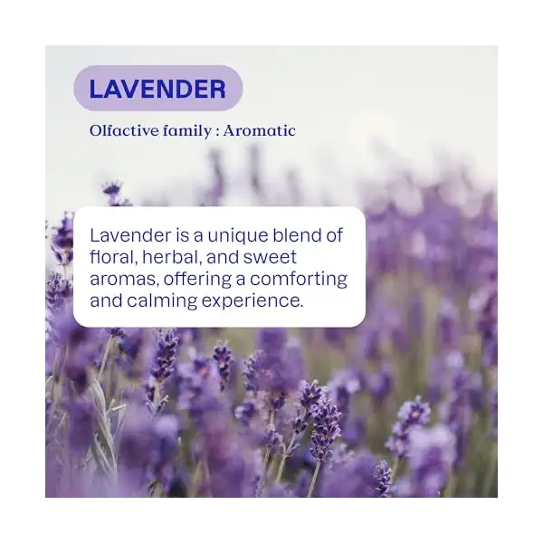 Lavender Laundry Detergent 4
