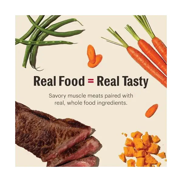 Beef, Cheddar and Veggies Pate Dog Food, 10.5 OZ 4