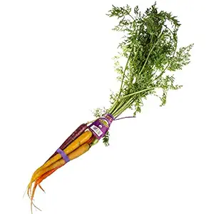 Organic Rainbow Carrot