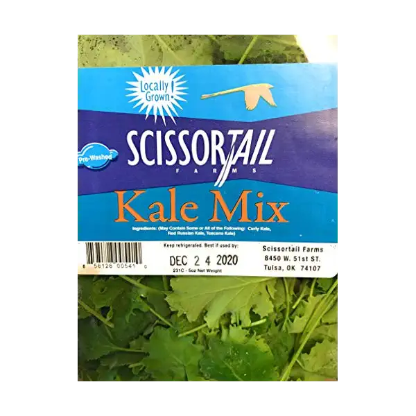 Arugula 2