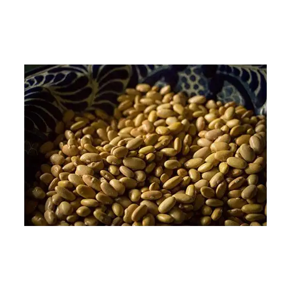 Mayocoba Beans 3