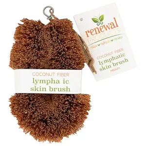 Medium Body Refiner Brush, 1 EA